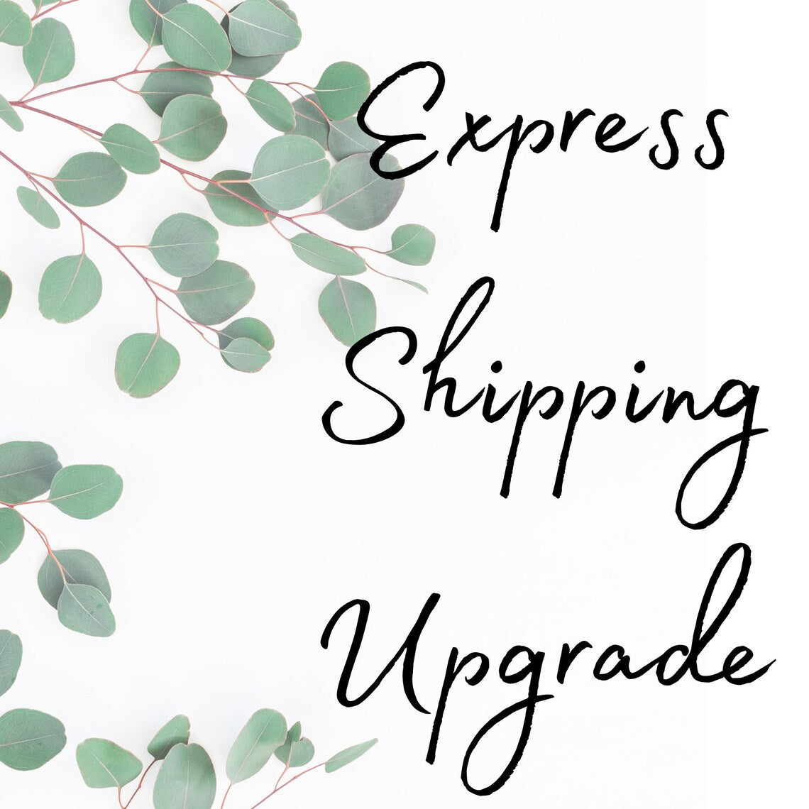 Express Shipping Upgrade